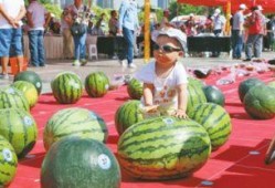 吃瓜网每日大赛 体育圈很乱天涯,吃瓜网每日大赛，天涯热议“很乱”真相