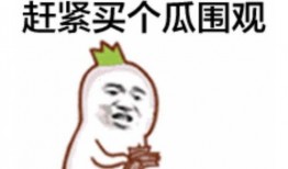 哔哩哔哩 朝阳吃瓜群众,揭秘哔哩哔哩热门事件背后的真相